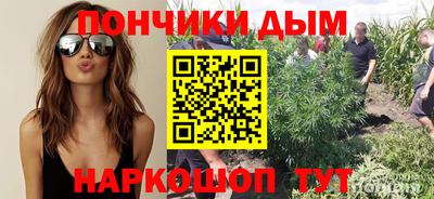 шишки Балахна