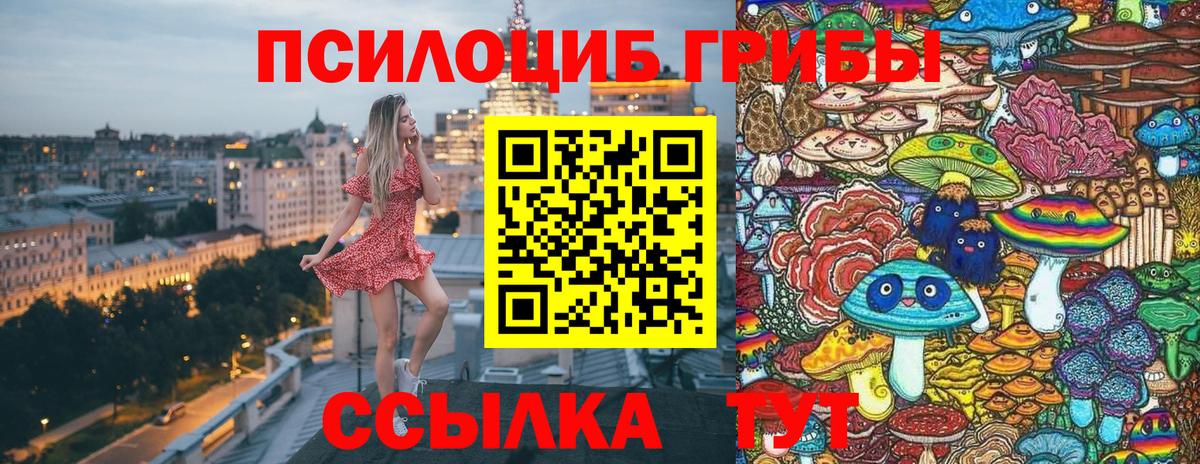 купить наркотик  Псилоцибиновые грибы MAGIC MUSHROOMS  Вход с VPN  Городец  Псилоцибиновые грибы MAGIC MUSHROOMS 