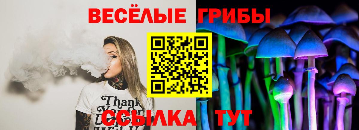 Псилоцибиновые грибы мицелий Городец